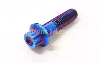 Titanium 12 Point Flange Bolts